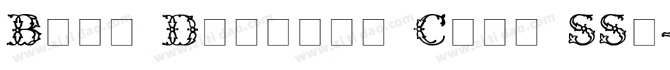 Boya Display Caps SSi字体转换